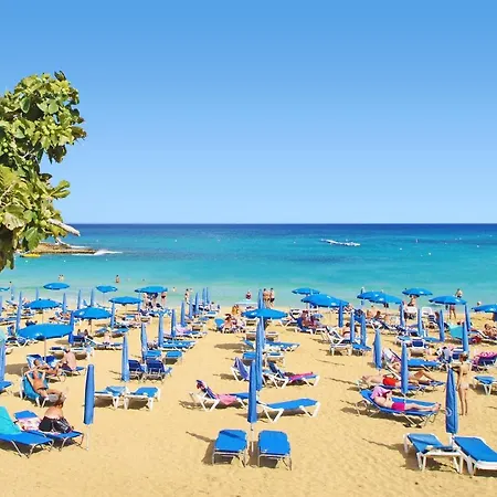 Mariada * Paralimni